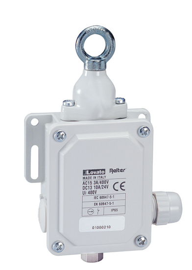 Picture of Fim-de-curso metálico 2NA+2NF IP65 ação instantânea 40N argola