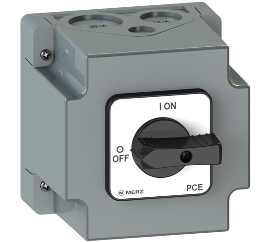 Picture of Interruptor ON-OFF A151 2P 25A em caixa c/espelho CZ/PT